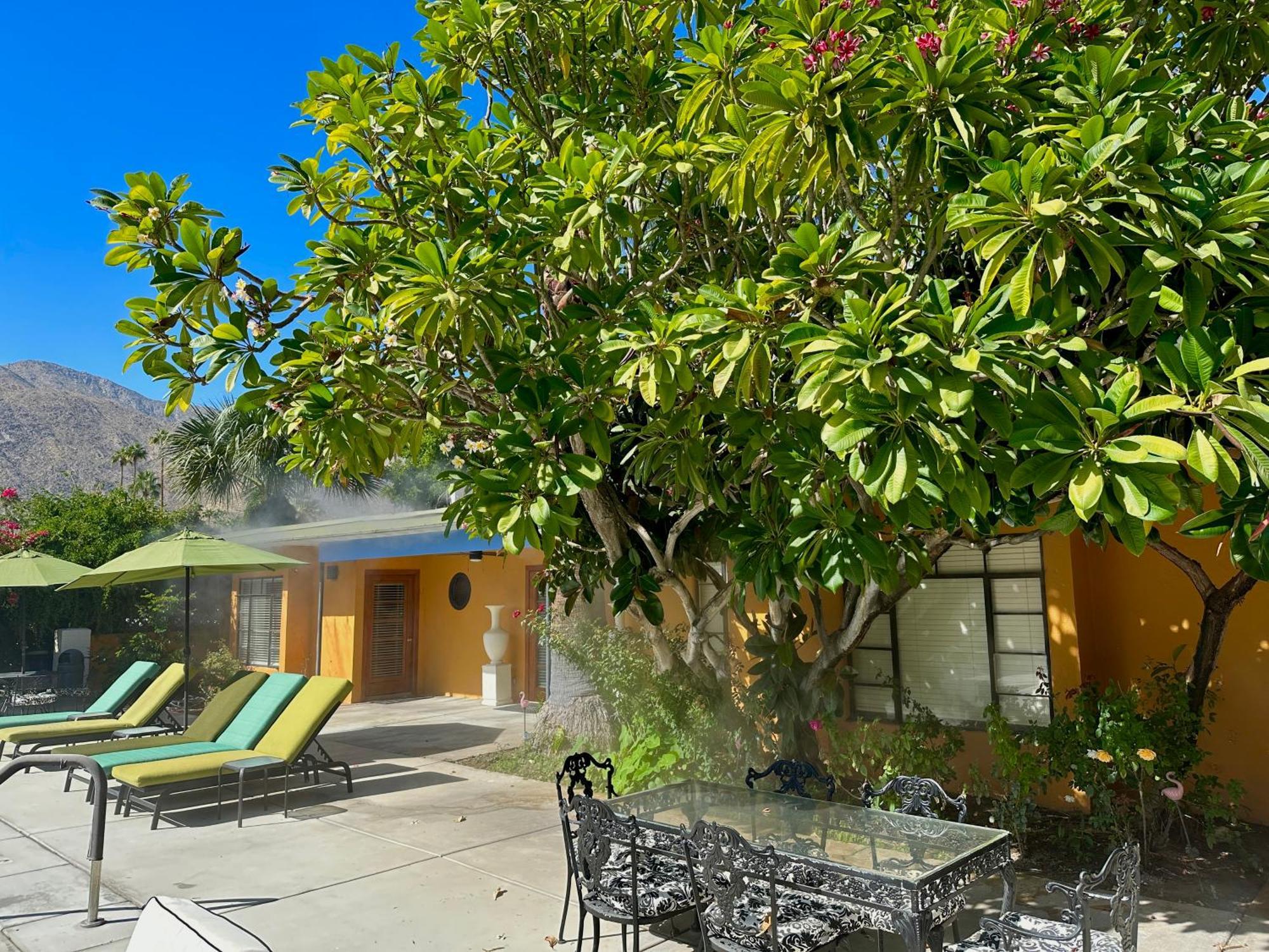 Vista Grande Resort - A Gay Men's Resort Palm Springs Exterior foto